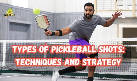 Types of pickleball shots