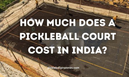 How Much Does a Pickleball Court Cost in India