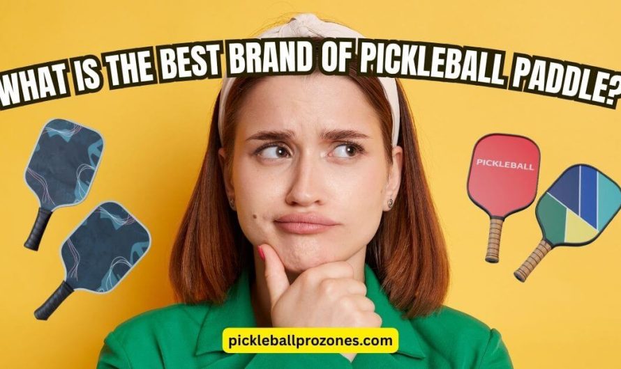 What Is the Best Brand of Pickleball Paddle? Don’t Buy Until You Read This